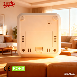 스마일 표시기가 있는 디지털 습도계 온도계-최대/최소 기록이 있는 실내 온도 습도 모니터, CE - Product Image 5