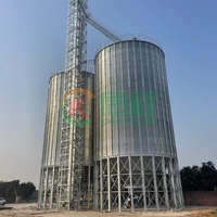 Grand silo de stockage de céréales en acier galvanisé de 3000 tonnes, entrepôt de stockage de blé, réservoir