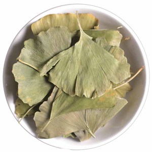 Toptan Saf Doğal Büyük Stok Kurutulmuş <span class=keywords><strong>Ginkgo</strong></span> <span class=keywords><strong>Biloba</strong></span> Yaprakları Sağlıklı Bitki Çayı - Product Image 4