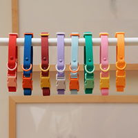 Collier et laisse en PVC imperméables et anti-odeur, harnais réglable en caoutchouc et silicone pour chien, vente en gros du fabricant