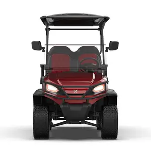 Carrito de golf eléctrico legal de calle de lujo con 6 asientos de nuevo diseño a la venta