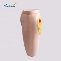 Modèle d'injection intramusculaire des fesses pour la formation en sciences médicales et en soins infirmiers, modèle d'injection des fesses, modèle éducatif