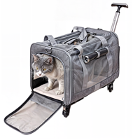 Portable Pet Rolling Carrier Safe Poignée télescopique Pet Travel Carrier Bag sur roues Pet Travel Carrier