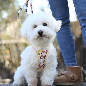 메이찬 맞춤형 부드러운 면 소재 반려동물 산책용 양면 강아지 하네스, 소형견 및 고양이용 조절 가능한 스텝인 강아지 하네스 - Product Image 3