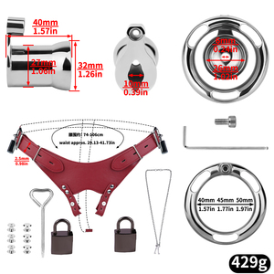 FRRK Cage à pénis inversée en acier, Ceinture de chasteté, Harnais de retenue corporelle complète, Sangle, pour Sissies, BDSM, Bondage, Produits sexuels pour adultes, Vente en gros - Product Image 3