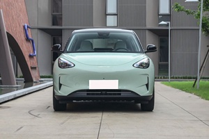 2025 pour Geely Geome électrique luxe Mini SUV Chine pas cher nouvelle énergie véhicule batterie au Lithium EV moteur Xingyuan Galaxy Mini Suv - Product Image 2