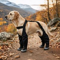 Nouvelles chaussures pour chien, en caoutchouc antidérapant, avec sangles élastiques réglables, détails réfléchissants, durables, style britannique, toutes tailles