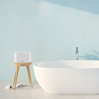 2025 Mini 180ml Nouveau produit Diffuseur de flamme Huile essentielle pour humidificateur à feu