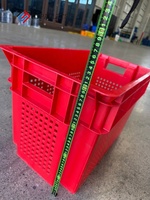 LYPALLETS Caisses de stockage et de logistique pour fruits et légumes, caisses à légumes de qualité alimentaire, caisses/paniers pliables en plastique
