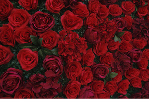 Novedad: Pared de Flores Artificiales de Rosas de Seda Rojas de 1 Metro Cuadrado, Arco Moderno, Base de Tela de Hierba <span class=keywords><strong>Aglaia</strong></span> Odorata, Decoración para Bodas - Product Image 4