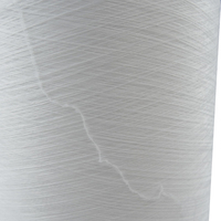 Fil de nylon DTY blanc brut 70D/68F/1 AA S Z PA6 avec ions d'argent antibactériens pour vêtements sans couture