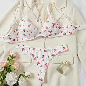 2026 комплект для секса оптом, чистый сексуальный женский бюстгальтер с принтом розы, веселое нижнее белье, фабрика - Product Image 1