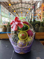 B04XSH03 Lightweight <b>plastic</b> fruit <b>basket</b> <b>with</b> short <b>handle</b> for grocery retailers - Product Image 5