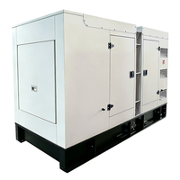 Générateur d'énergie domestique de secours fiable et économique de 20 kW à 100 kW à prix abordable, à vendre