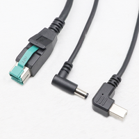 Kustom Pabrik 8Pin 12V daya USB jantan ke USB B jantan + DC5521 jantan 1 hingga 2 kabel pemisah