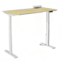 Bureau d'ordinateur électrique à hauteur réglable, conçu de manière ergonomique, avec hauteur électrique ajustable, personnalisable