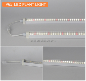 <span class=keywords><strong>T8</strong></span> Tubes Grow <span class=keywords><strong>Light</strong></span> High Brightness Plantas de interior Leds vermelho e azul <span class=keywords><strong>LED</strong></span> impermeável IP65 home plant fábrica iluminação 0.9m 14w <span class=keywords><strong>28w</strong></span> - Product Image 3
