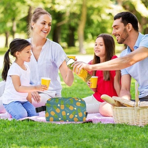Portable Adult Kids <b>Lunch</b> <b>Box</b> Customs Cooler <b>Bag</b> Thickened Thermal Student School <b>Bag</b> Set for Outdoor Picnic - Product Image 6
