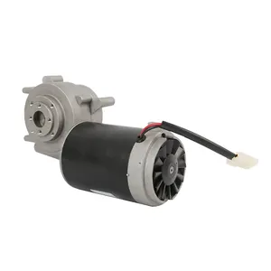 High Quality Supplier 100W 220V 38R/Min Wet Dc Vacuum Motor, Micro Dual Axis Hydraulic Press Dc Motor