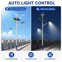 Lampadaire hybride solaire-éolien 30W-120W IP67 hors réseau avec contrôleur MPPT, batterie LiFePO4, construction en alliage d'aluminium, poteau de 6M-9M