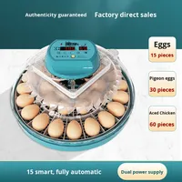 Incubateur domestique intelligent entièrement automatique, taux d'éclosion de 99 %, double alimentation pour œufs d'oie, de pigeon, de perroquet et de poulet