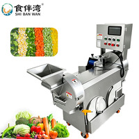 Direct Supply Afneembare Reinigingsmachine met Dubbele Kop, Automatische Gemotoriseerde Snijmachine voor Groenten, Fruit en Aardappelen, Voedselverwerking