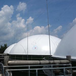 Biogaz digestore tetto montato su biogas impianto Rifiuti digestore per Fabbrica di Olio di Palma - Product Image 5