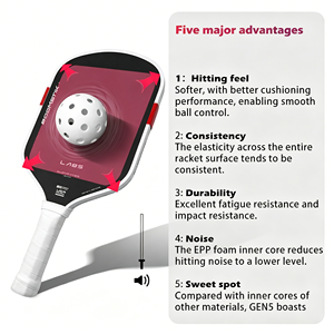 Precio Directo de Fábrica: Pala de Pickleball de Fibra de Carbono T700 con Punto Dulce de Borde a Borde para Torneos y Agarre Ergonómico Acolchado - Product Image 6