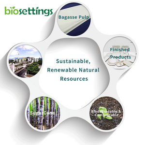 Fiambrera de pulpa moldeada para sushi, caja de comida de pulpa de caña de azúcar desechable, ecológica, venta al por mayor - Product Image 5