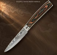 Ensemble de couteaux de cuisine de haute qualité, 67 couches d'acier Damas VG10, couteau de chef japonais, manche en bois Pakka coloré