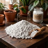 Perlite blanche de qualité horticole, agrégat léger pour l'amélioration du sol de jardinage et support de culture
