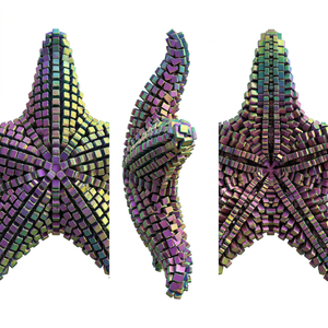 Jouet sensoriel articulé en forme d'étoile de mer imprimé en 3D, changeant de couleur, flexible, pour la décompression et le soulagement du stress chez l'adulte, personnalisable - Product Image 3