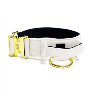 Özel toptan 2 inç ayarlanabilir köpek tasması taktik naylon yastıklı yaka büyük köpekler için lüks altın Metal toka ile - Product Image 2