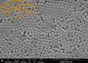 Microesferas Magnéticas de Sílice de Alta Pureza, Rendimiento Estable para Inmunodiagnóstico y Biosensoreo - Product Image 2