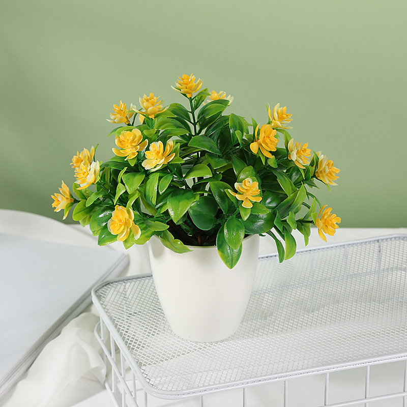 Giallo