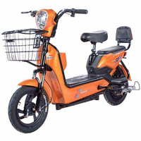 Vélo Électrique Urbain avec Moteur Arrière 48V, Cadre en Acier Carbone, Capteur de Portée, Commande Vocale, Deux Places avec Panier de Rangement
