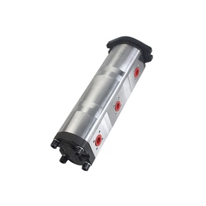 การเปลี่ยนปั๊มเกียร์ไฮดรอลิก R918C01 510665368 - Product Image 2
