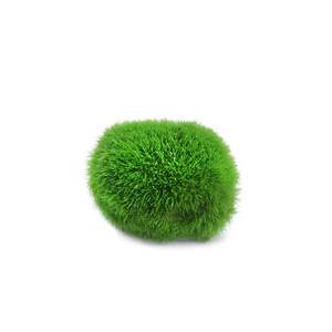 Gesimuleerde Visbak Zeewier Bal Water Plant Micro Landschap Indoor Desktop Milieuvriendelijke Decoratieve Planten <span class=keywords><strong>Aquarium</strong></span> Accessoires - Product Image 5