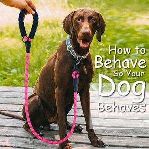 Tali anjing pemandu selip 5 kaki pegangan spons harga rendah tali hewan peliharaan tahan lama tali nilon reflektif tali anjing untuk berjalan hewan peliharaan - Product Image 6