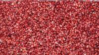 Fabrieksmatige RVS 304 Fruit- en Groente- (granaatappel) was-, schil- en ontpitmachine 0,5t/uur