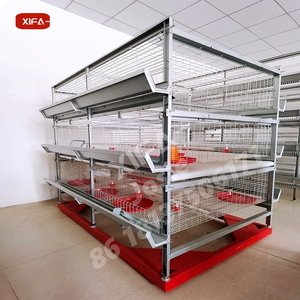 Nueva Jaula <span class=keywords><strong>de</strong></span> Batería para Gallinas Ponedoras <span class=keywords><strong>de</strong></span> 3-4 Niveles, Construcción <span class=keywords><strong>de</strong></span> Acero, Capacidad para 96-160 Aves, Sistema Automático, Larga Vida Útil - Product Image 3