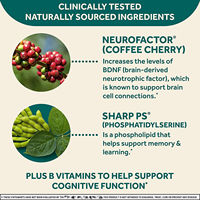 Gummies de Vitamines B6, Folate, Phosphatidylsérine, B12 et Nootropiques à Marque Blanche
