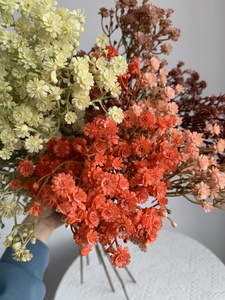 2025 <span class=keywords><strong>nouveau</strong></span> Design vert bébé <span class=keywords><strong>souffle</strong></span> fleurs Simulation vraie touche artificielle bébé <span class=keywords><strong>souffle</strong></span> pour la famille mariage saint valentin - Product Image 6