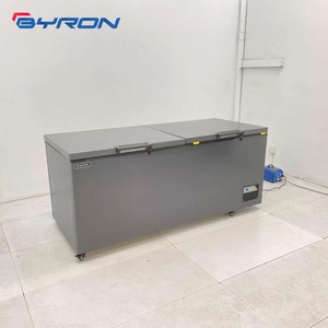 <span class=keywords><strong>Congélateur</strong></span> <span class=keywords><strong>coffre</strong></span> commercial à refroidissement direct, plusieurs volumes au choix, idéal pour les besoins de congélation alimentaire des supermarchés - Product Image 5