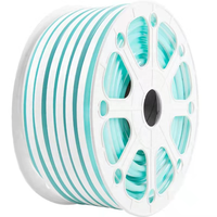 En promotion : Bande néon LED flexible en silicone PVC, 5M 50M, 6x12mm 8x16mm, DC12V 24V AC110V 220V, couleur unique ou RVB, pour enseignes lumineuses