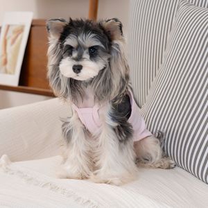 Ropa de Verano para Mascotas, Lindo Chaleco para <span class=keywords><strong>Perro</strong></span> con Anillo en D, Chaleco Transpirable para Perros Pequeños - Product Image 4