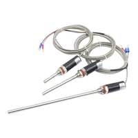 Sensor de Temperatura RTD PT100 Flexible de 300 Grados, 3, 4 y 6 Cables, Resistente al Agua, Sensor RTD de Platino PT1000