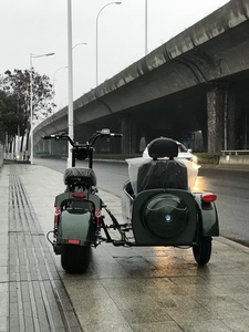 Tricycle électrique de haute qualité, <span class=keywords><strong>vélo</strong></span> électrique à pédales avec side-car, moto électrique pour adultes - Product Image 3