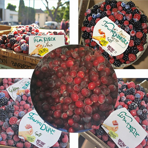 แครนเบอร์รี่แช่แข็งแบบออร์แกนิกผลไม้แช่แข็ง10กก. กระบวนการแช่แข็งที่มีคุณค่าทางโภชนาการสำหรับขายส่ง - Product Image 5