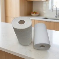 Papier essuie-tout et serviettes de cuisine de qualité supérieure, rouleau jumbo de luxe, 1 pli, Chine